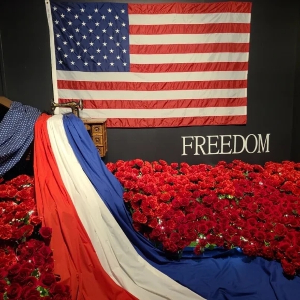 🪽XXL💎 VS '24 Fashion Show The T-shirt Shine Cotton Wireless Plunge Bralette 💎 - Picture 11 of 15